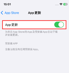 霞山苹果15维修中心如何让iPhone15APP自动更新